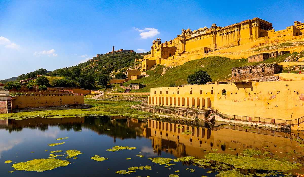 Wild Nature Tour au Rajasthan