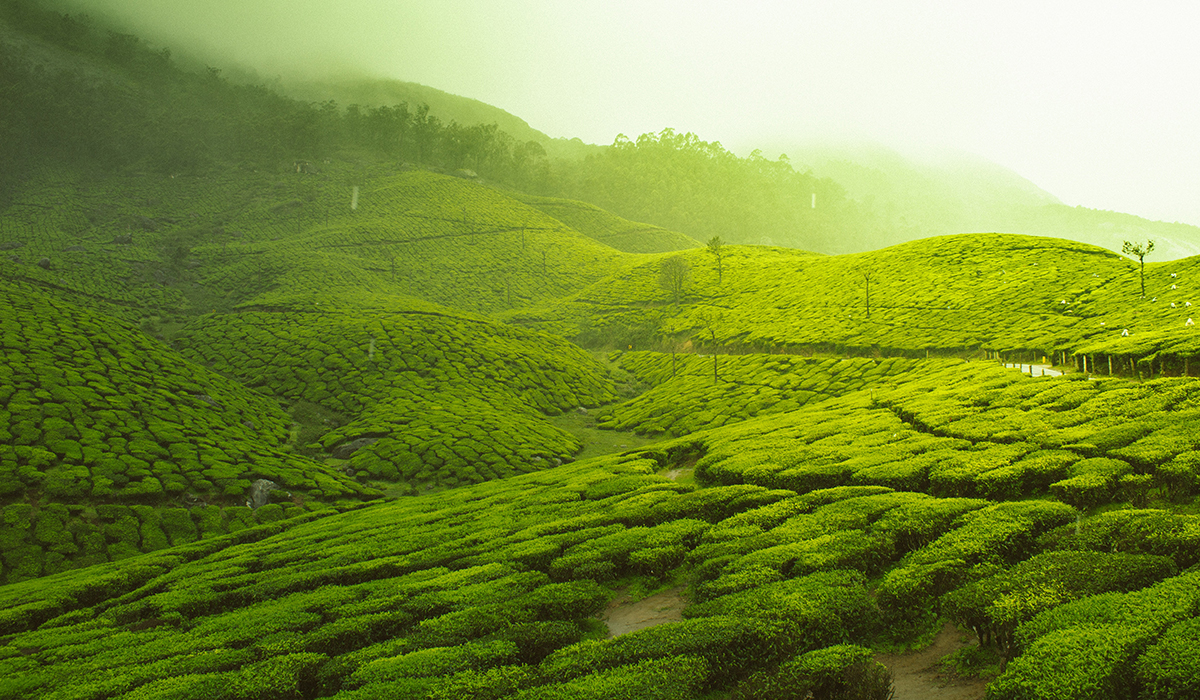 Senteurs et Couleurs du Kerala